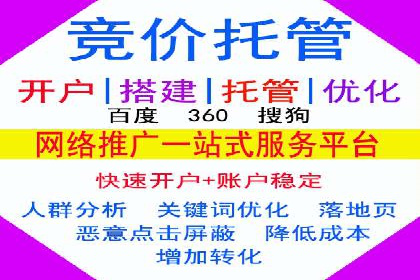竞价排名在搜索引擎营销中的运用案例